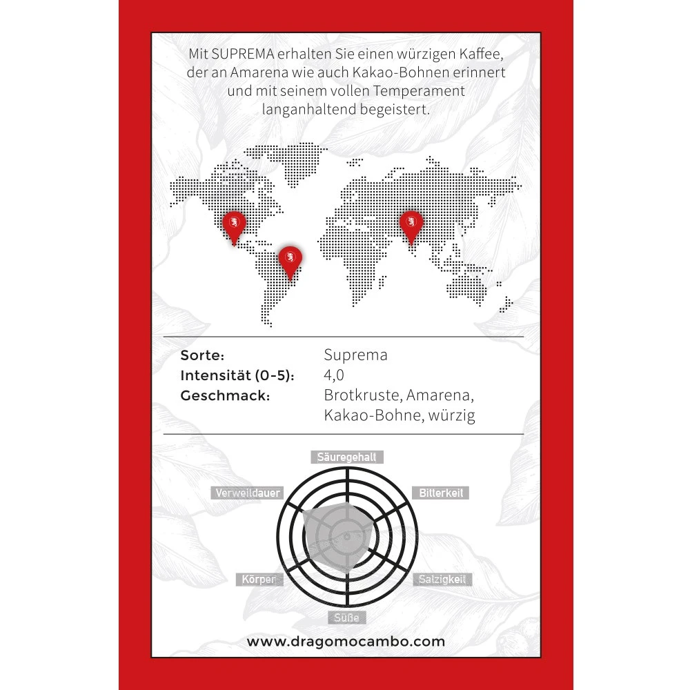 Mocambo Suprema, Bohne 4 Mocambo Suprema, Bohne – Bild 2